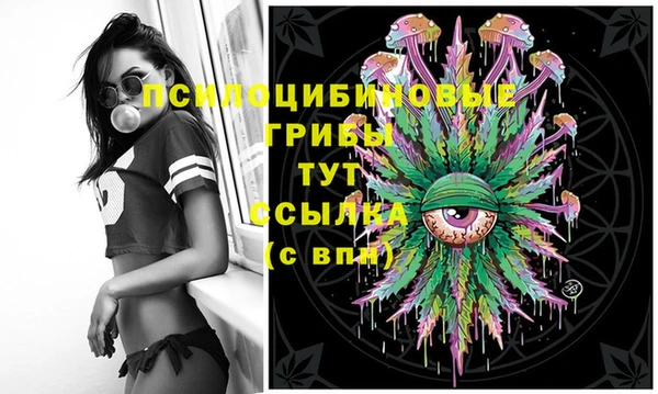 гидра Михайлов