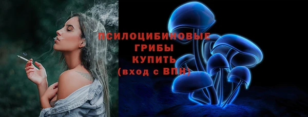 гидра Михайлов